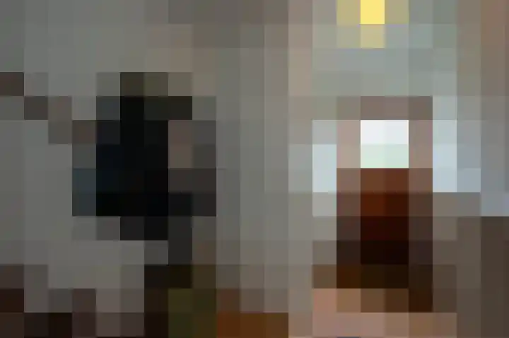 Nicolaas Maesstraat 9 Maarssen thumbnail 8