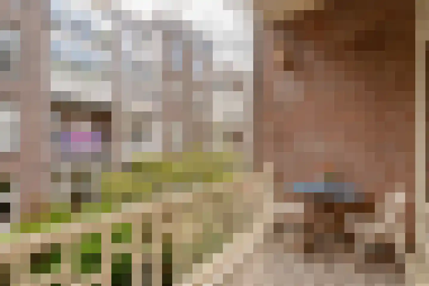 Nicolaas Maesstraat 93 2 Amsterdam thumbnail 18
