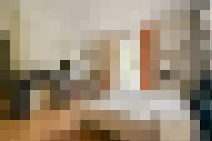 Nicolaas Maesstraat 96 3 Amsterdam thumbnail 26