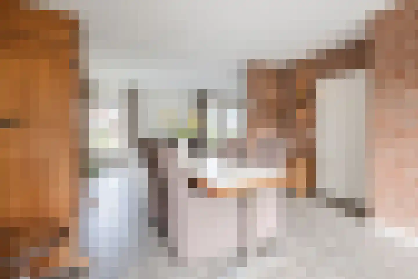Nicolaas Oostinghweg 2 a de Wijk thumbnail 14