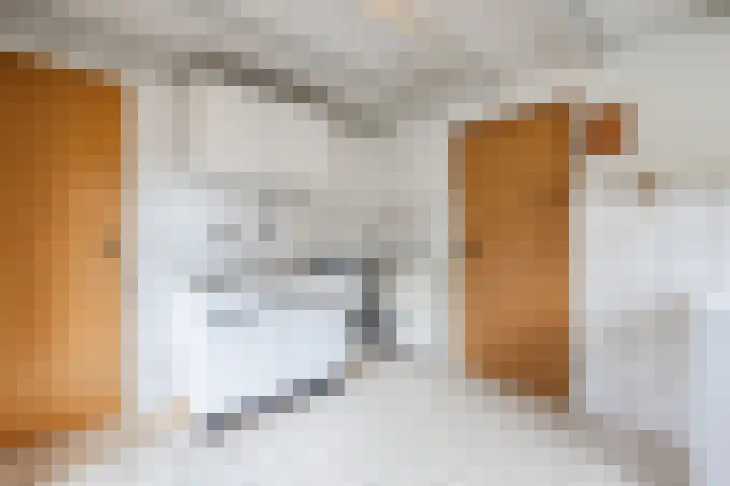 Nicolaas Oostinghweg 2 a de Wijk thumbnail 19