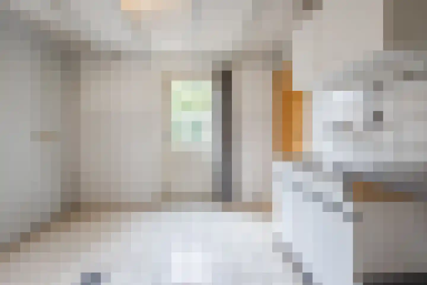 Nicolaas Oostinghweg 2 a de Wijk thumbnail 20