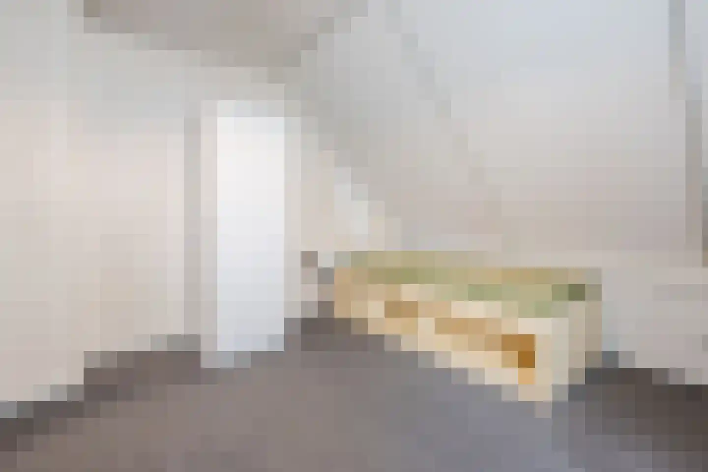 Nicolaas Oostinghweg 2 a de Wijk thumbnail 26