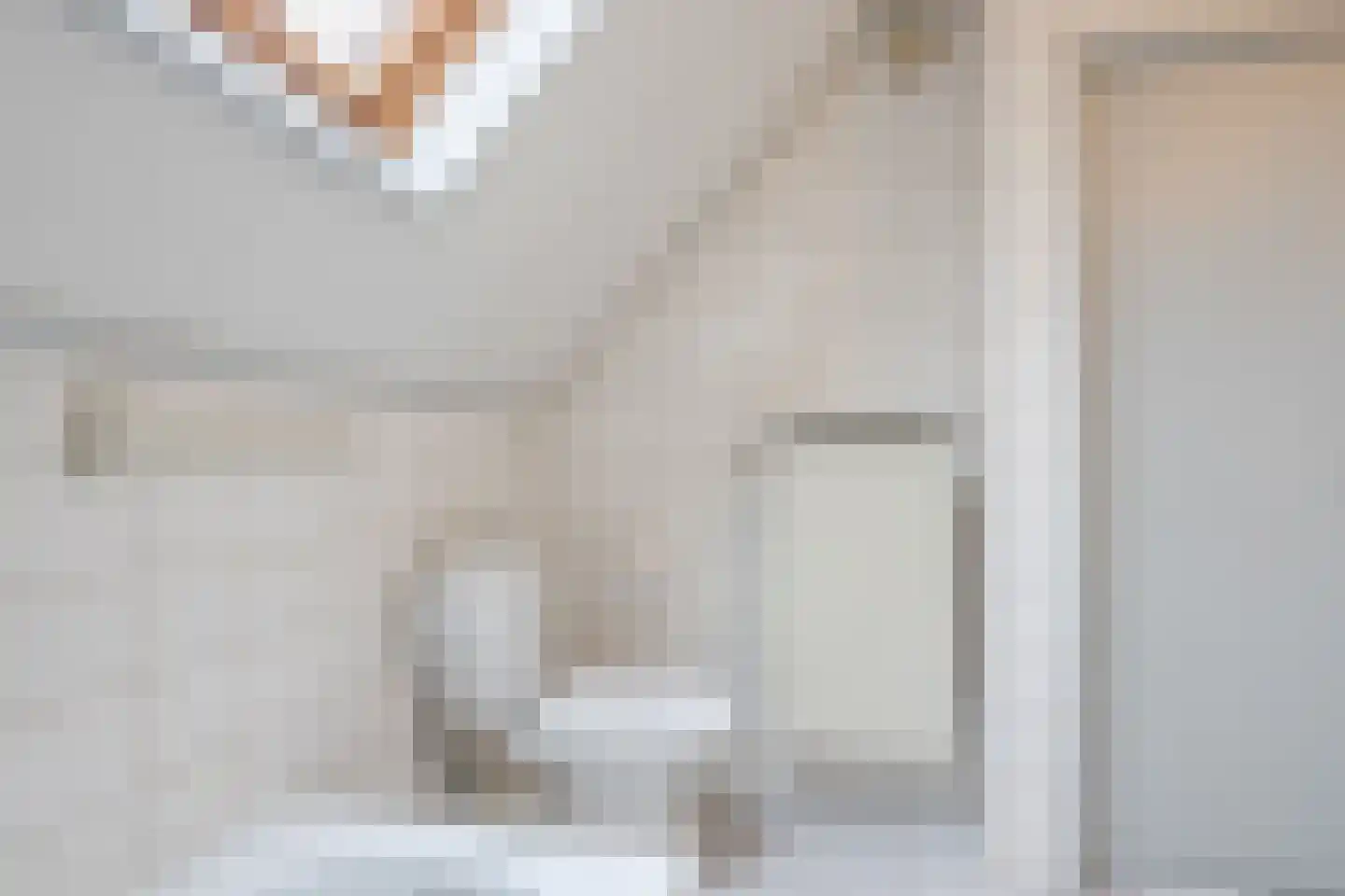 Nicolaas Oostinghweg 2 a de Wijk thumbnail 29