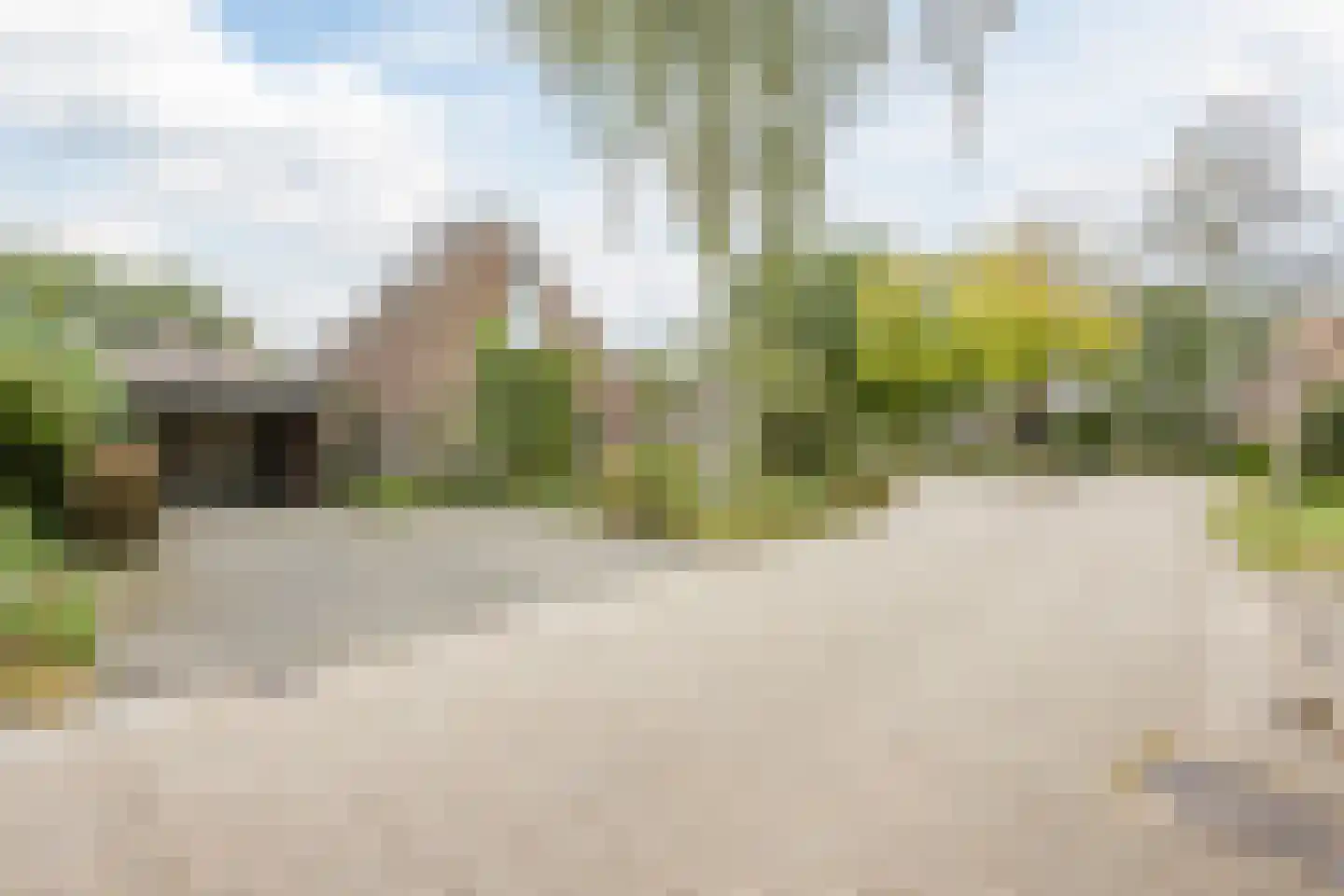 Nicolaas Oostinghweg 2 a de Wijk foto 3