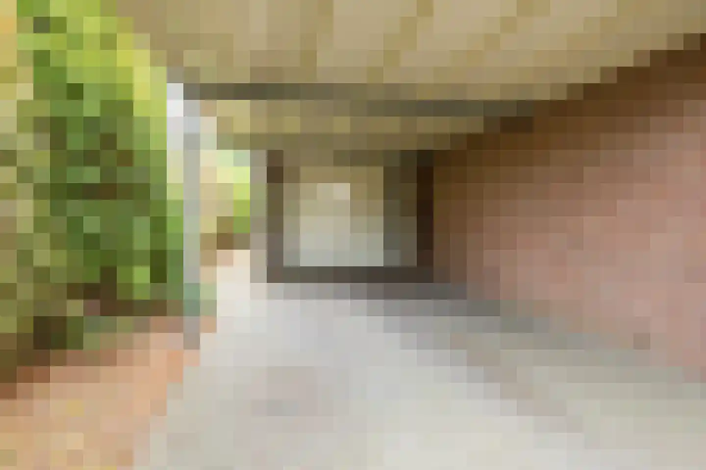 Nicolaas Oostinghweg 2 a de Wijk thumbnail 4