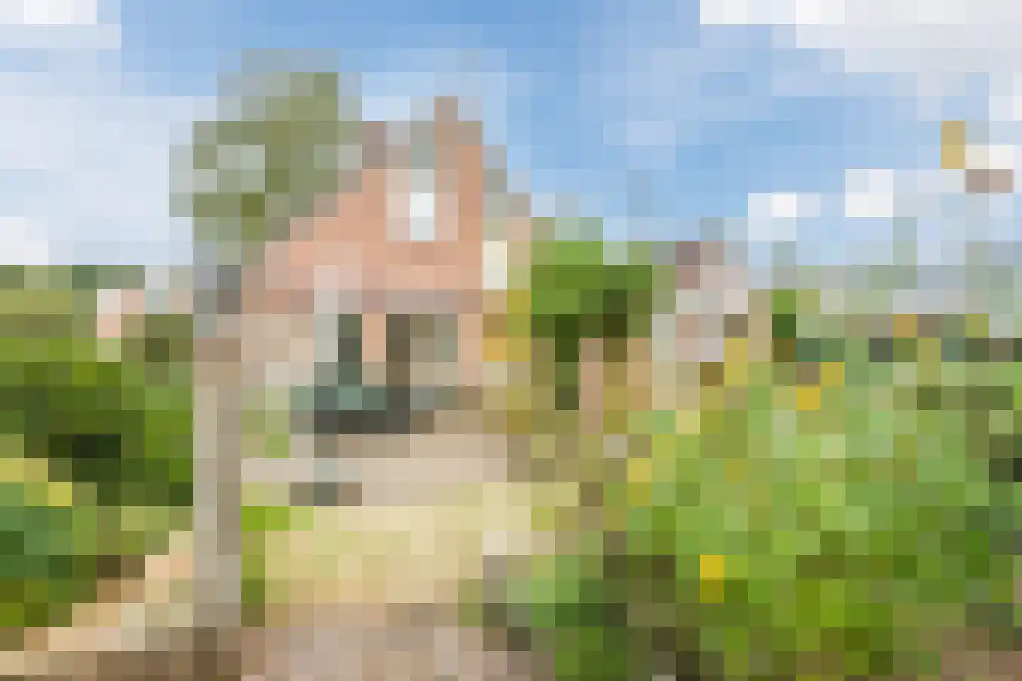 Nicolaas Oostinghweg 2 a de Wijk thumbnail 43