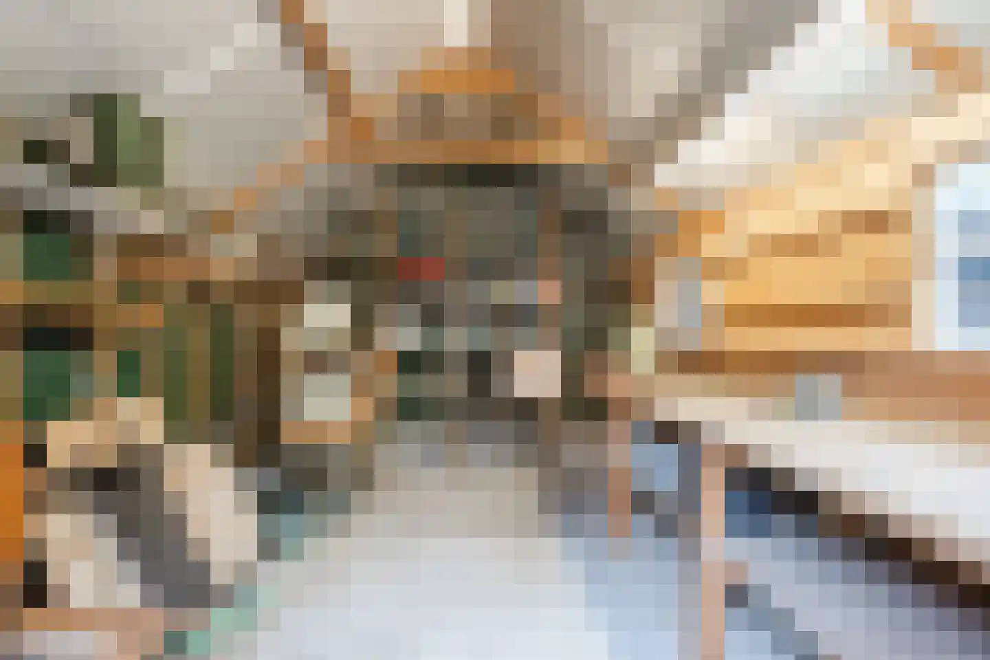 Nicolaas Oostinghweg 2 a de Wijk thumbnail 51
