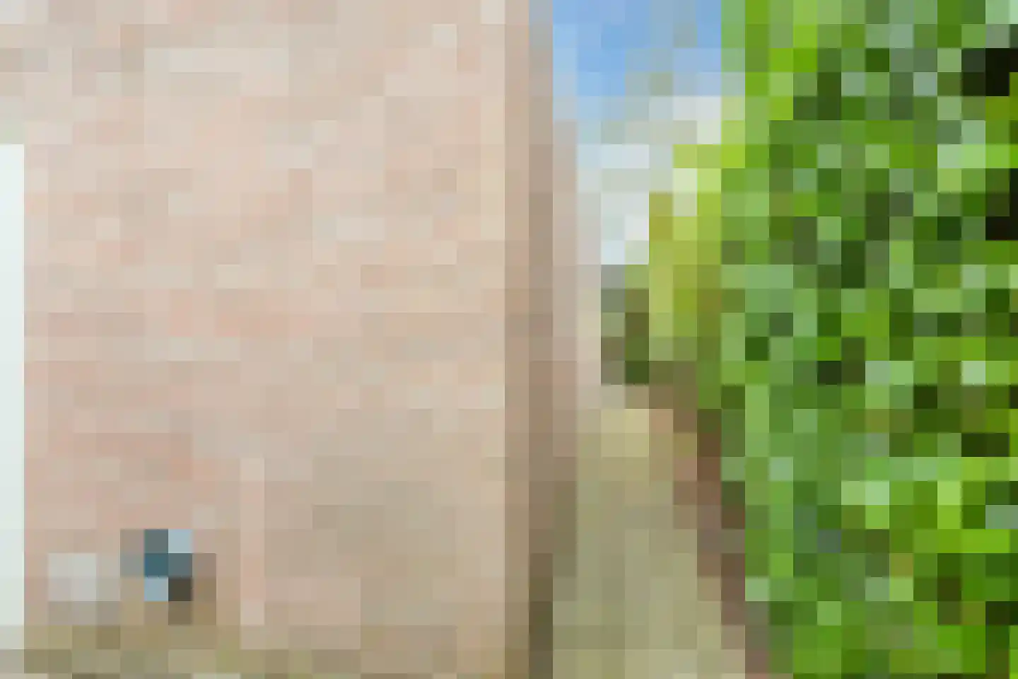 Nicolaas Oostinghweg 2 a de Wijk thumbnail 52