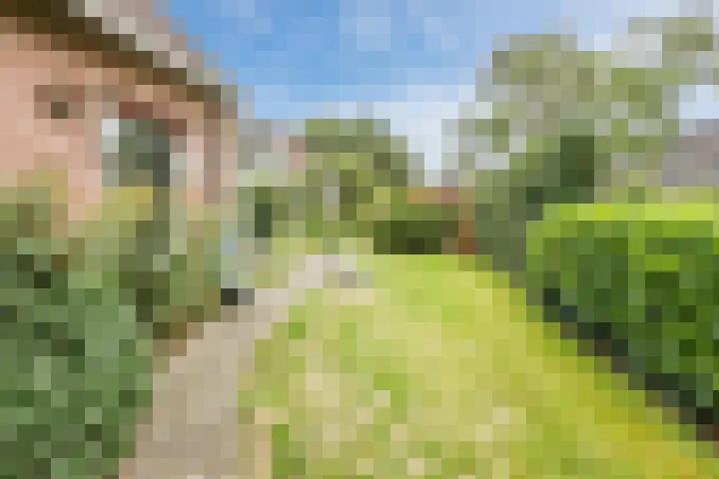 Nicolaas Oostinghweg 2 a de Wijk thumbnail 53