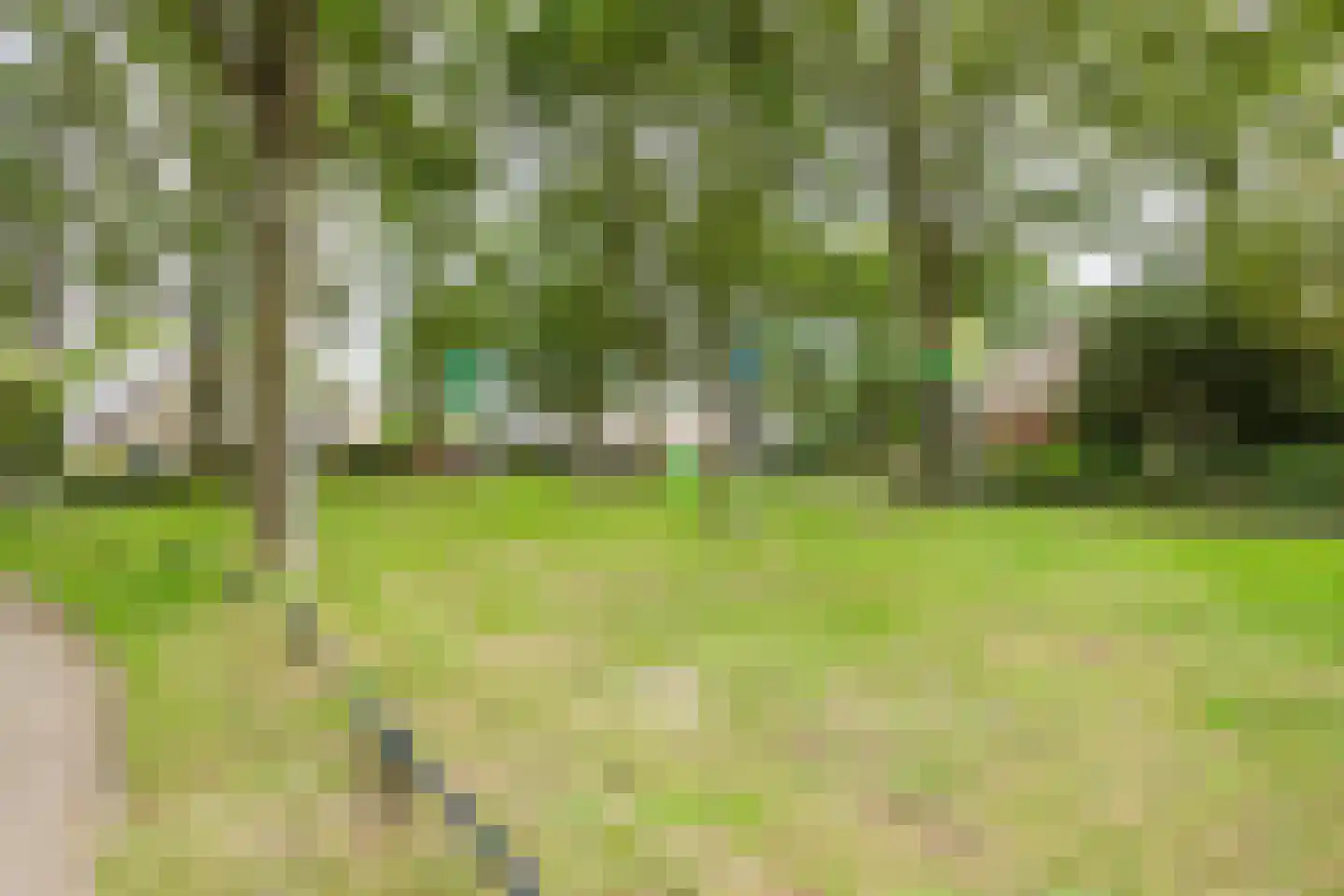 Nicolaas Oostinghweg 2 a de Wijk thumbnail 59
