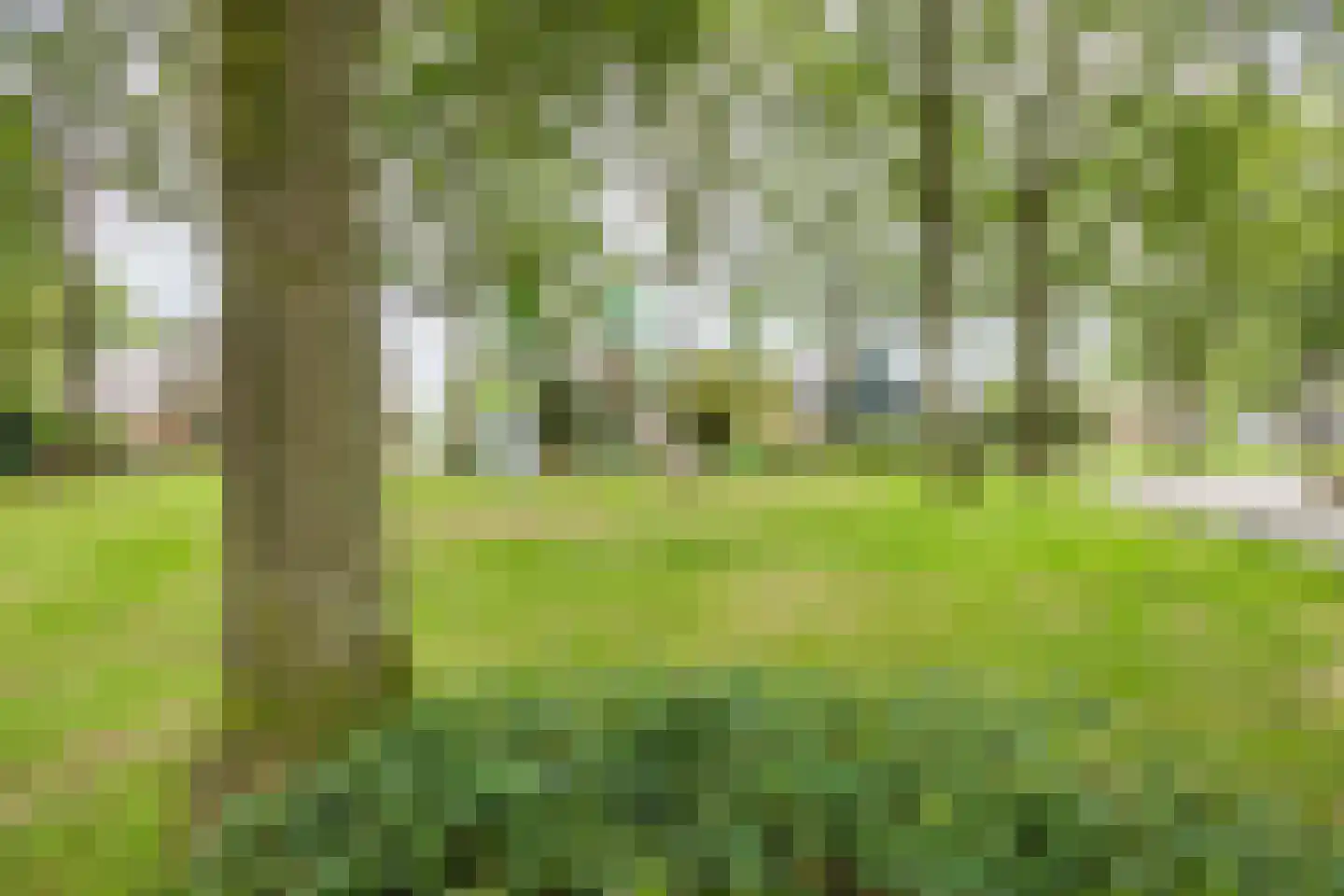 Nicolaas Oostinghweg 2 a de Wijk thumbnail 60