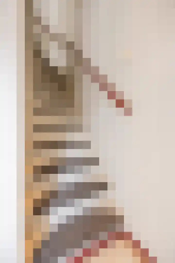 Nicolaas Peckstraat 21 Steenbergen thumbnail 18