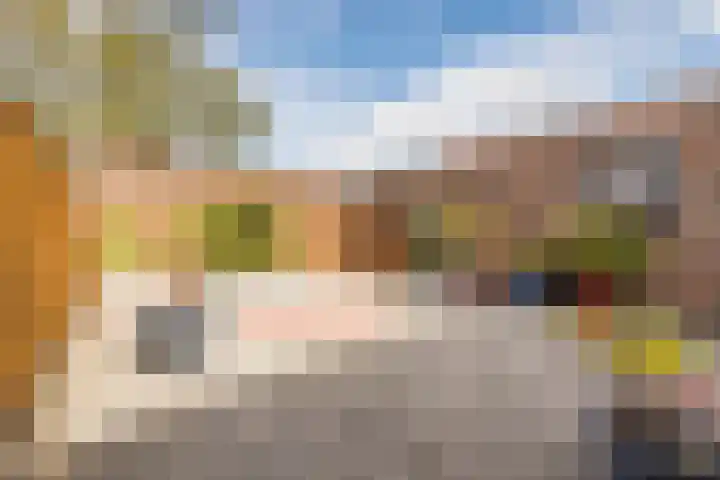 Nicolaas Peckstraat 21 Steenbergen thumbnail 37
