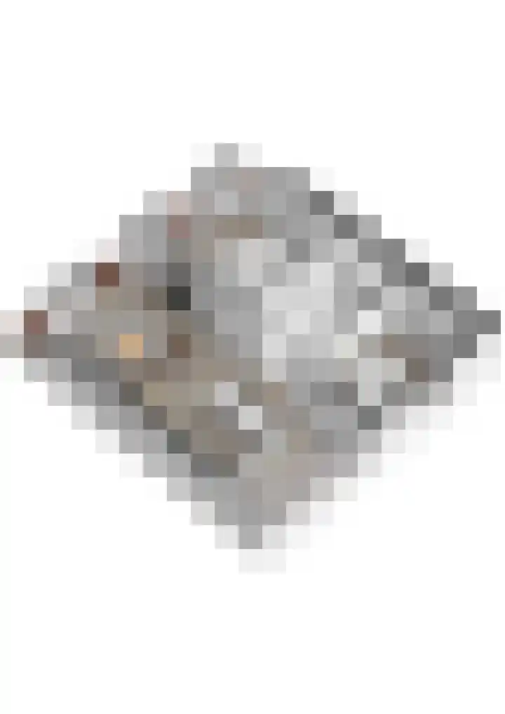 Nicolaas Pieckstraat 11 b Tilburg thumbnail 10