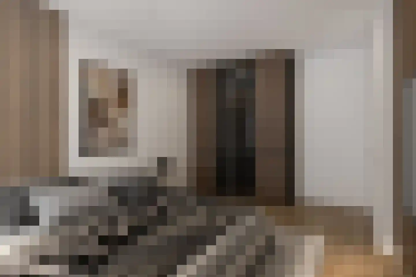 Nicolaas Pieckstraat 11 Tilburg thumbnail 4