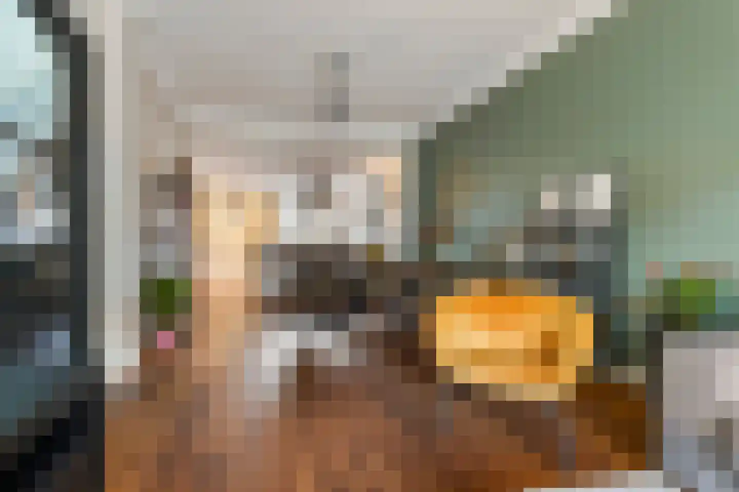 Nicolaas Pieckstraat 12 Tilburg thumbnail 12