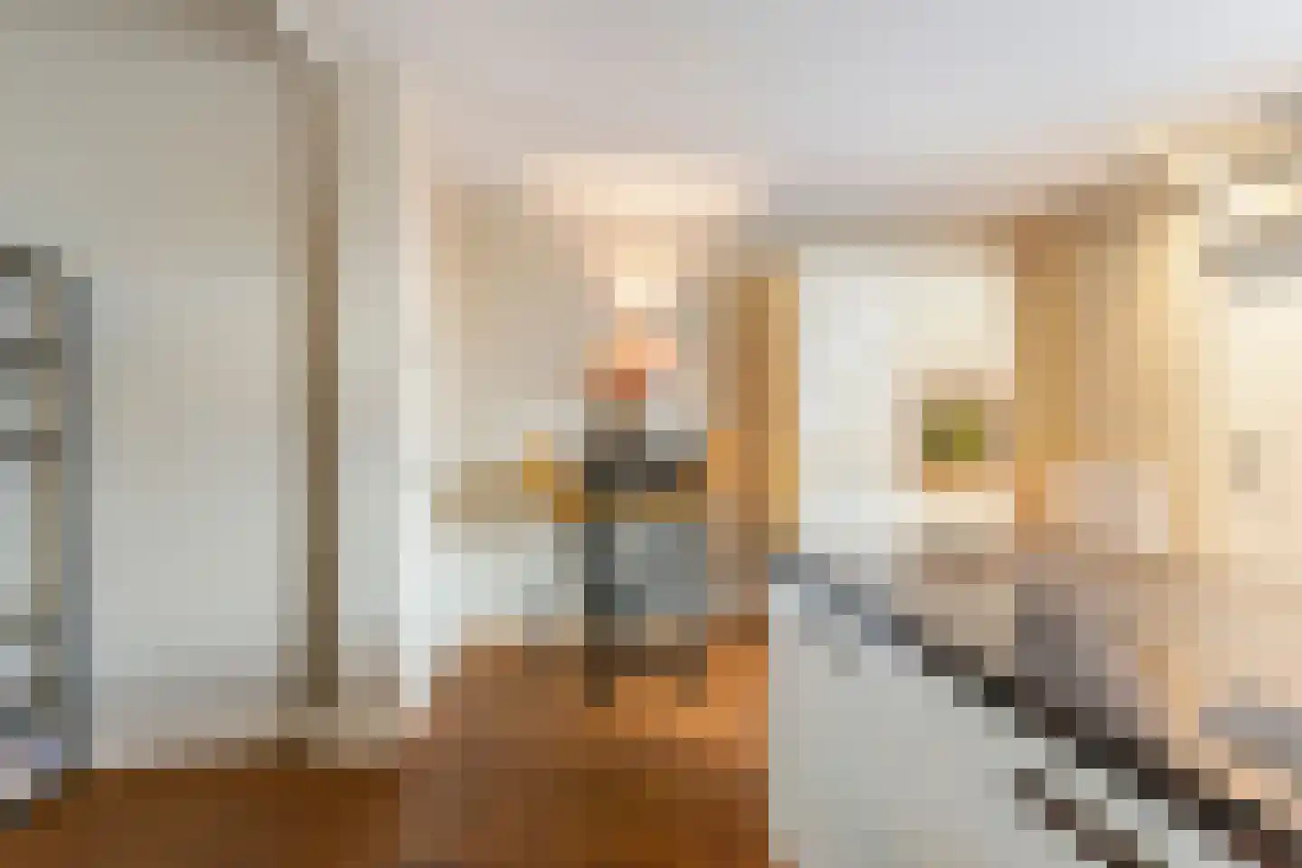 Nicolaas Pieckstraat 12 Tilburg thumbnail 14