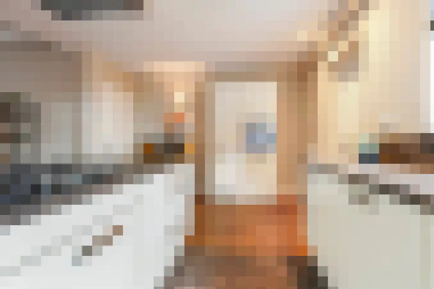 Nicolaas Pieckstraat 12 Tilburg thumbnail 16