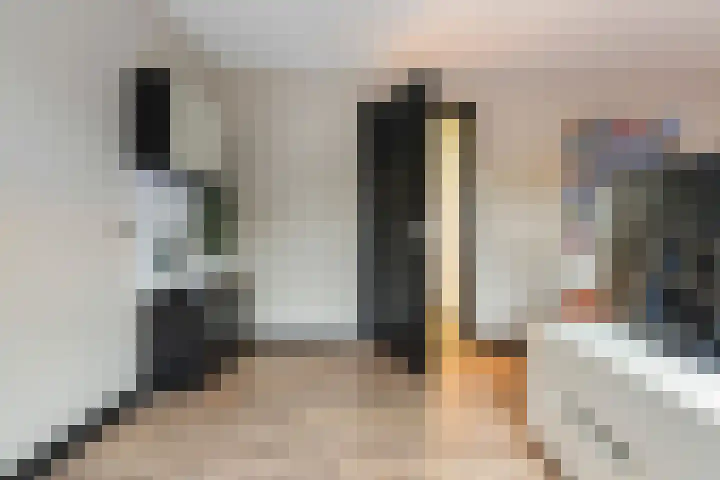 Nicolaas Pieckstraat 12 Tilburg thumbnail 24
