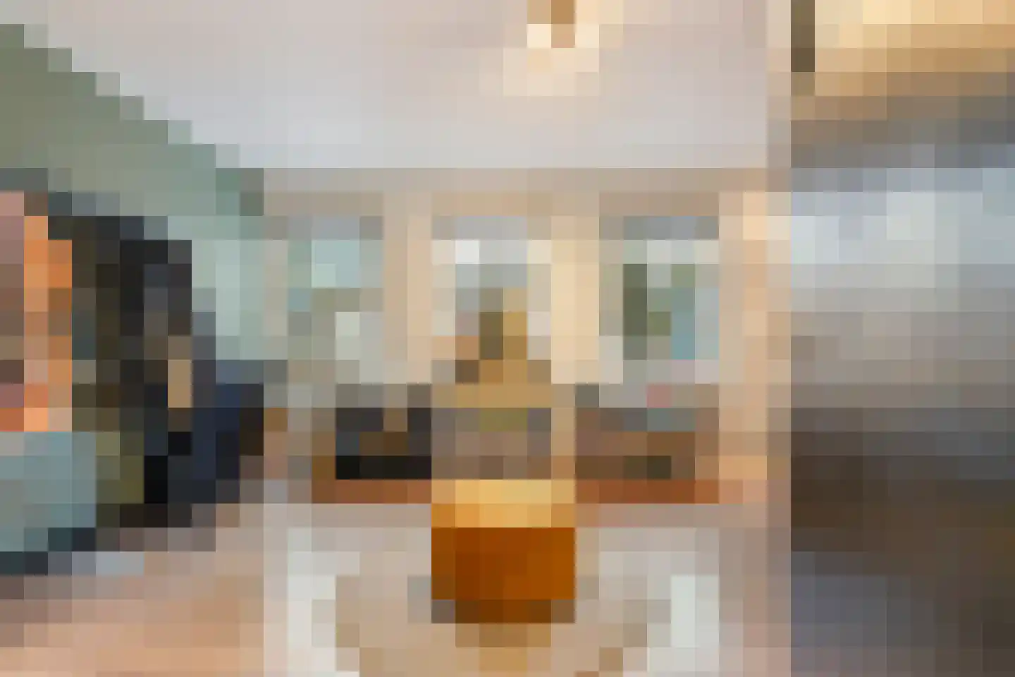 Nicolaas Pieckstraat 12 Tilburg thumbnail 27