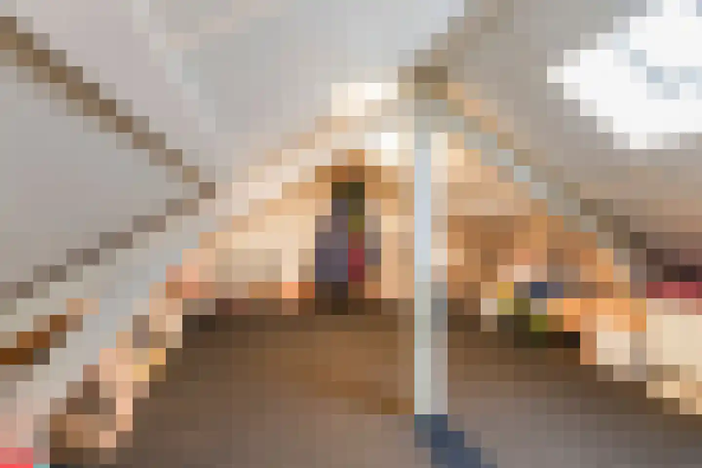Nicolaas Pieckstraat 12 Tilburg thumbnail 40