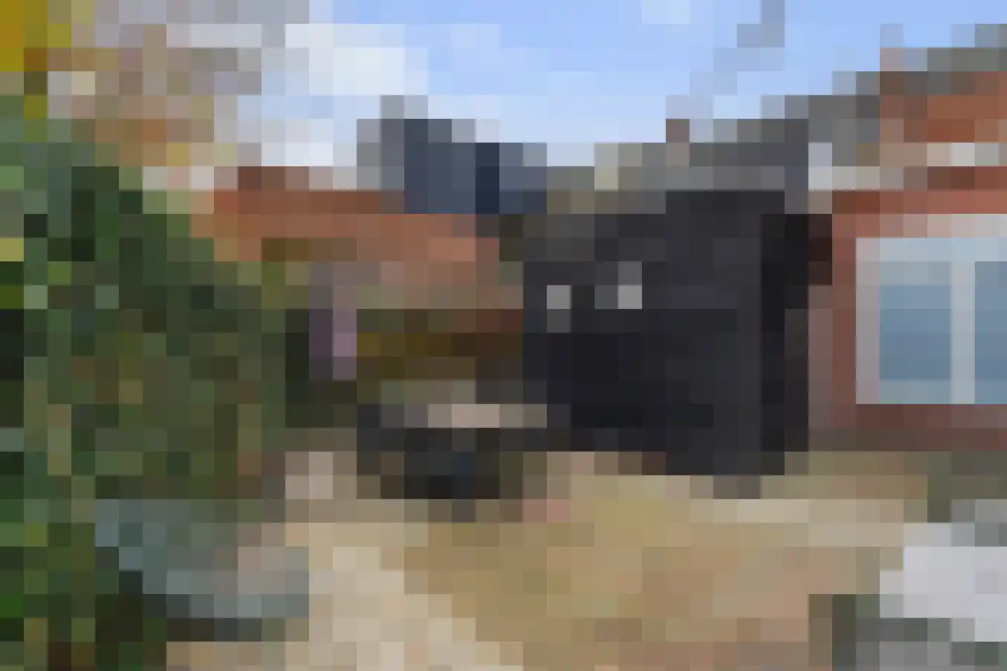 Nicolaas Pieckstraat 12 Tilburg thumbnail 44