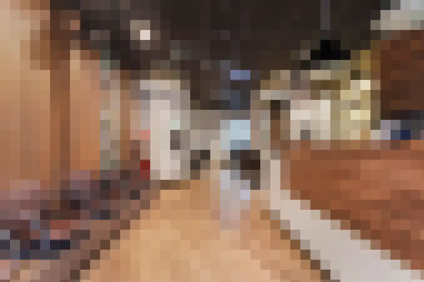 Nicolaas Pieckstraat 12 Tilburg thumbnail 58