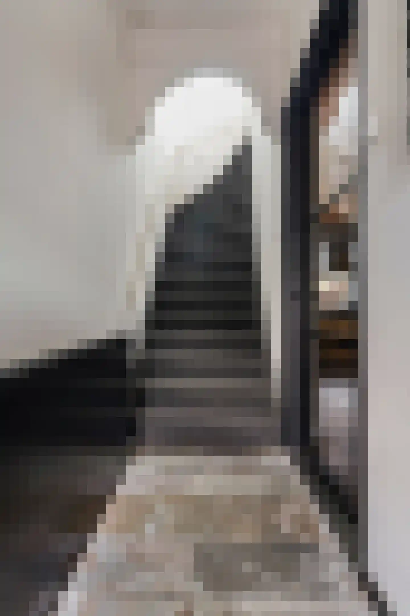 Nicolaas Pieckstraat 12 Tilburg thumbnail 9