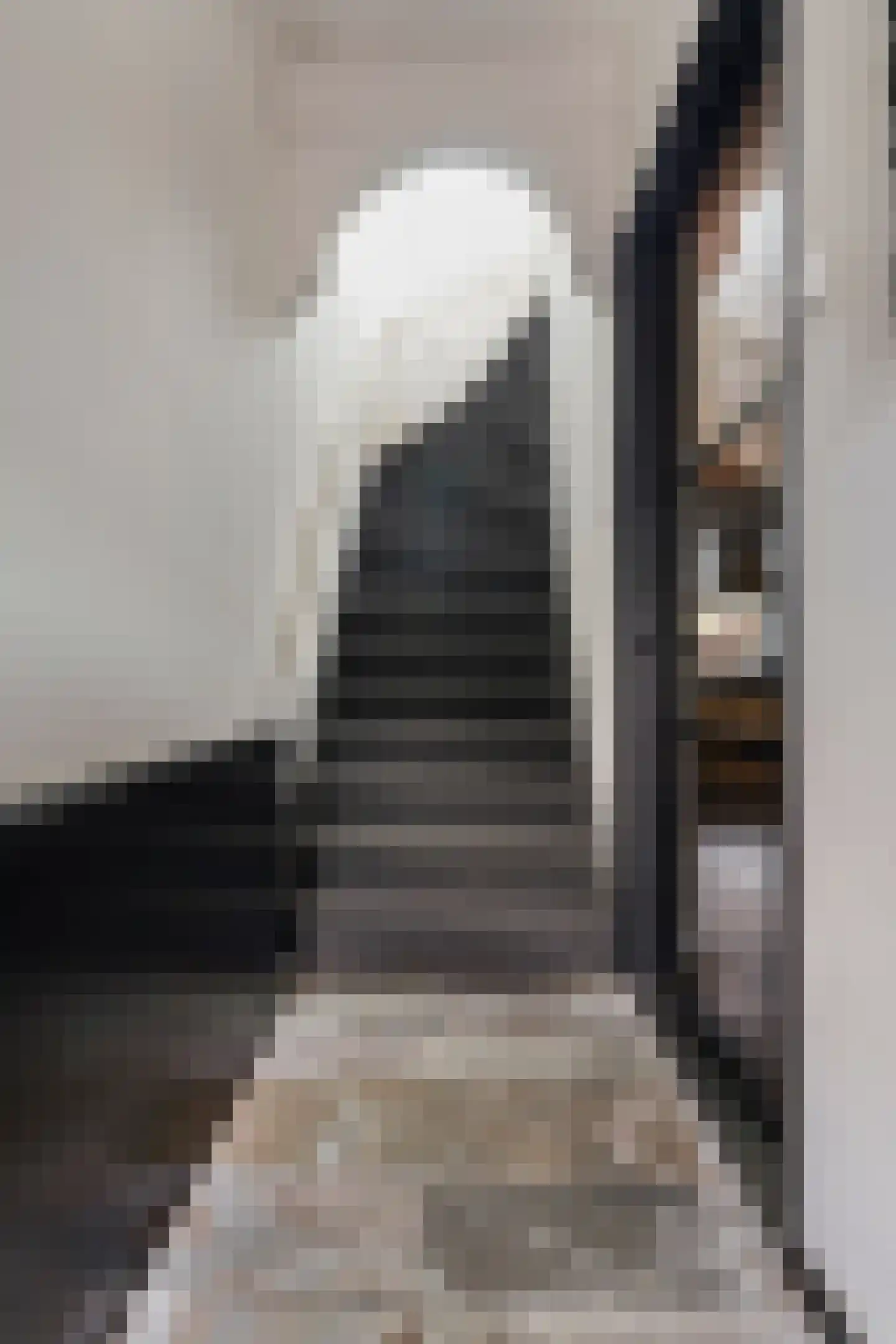 Nicolaas Pieckstraat 12 Tilburg thumbnail 9
