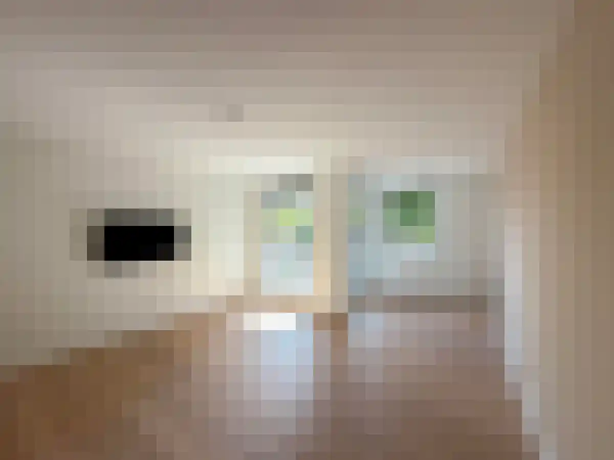 Nicolaas Pieckstraat 38 Tilburg thumbnail 6