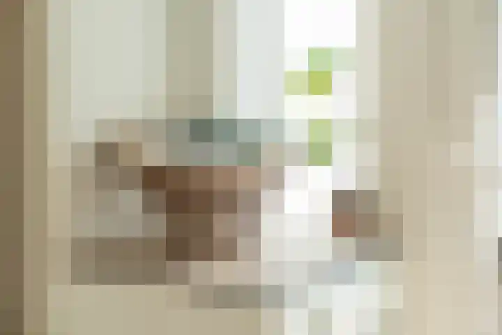 Nicolaas Pieckstraat 6 Gorinchem thumbnail 10