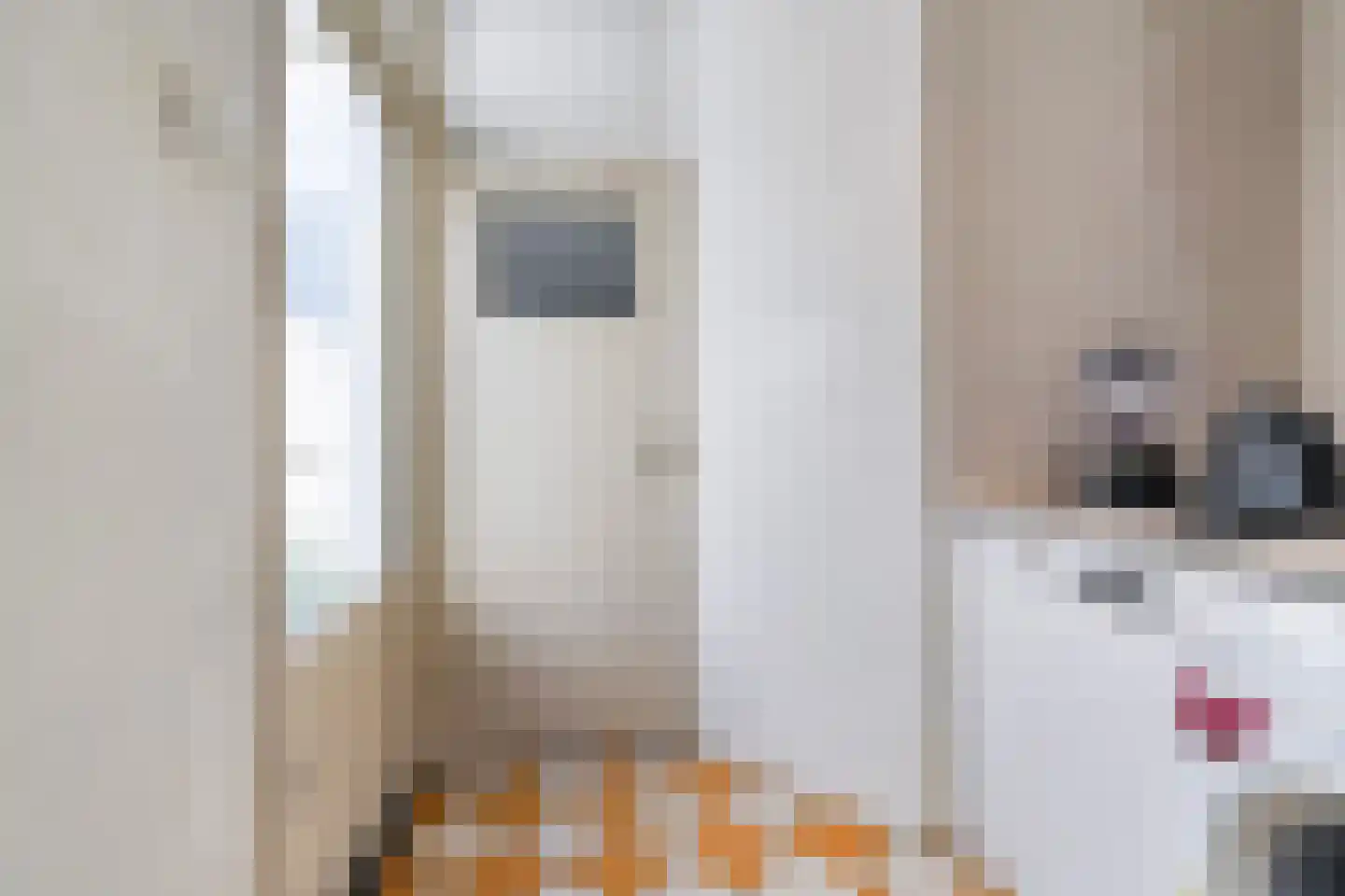 Nicolaas Pieckstraat 8 Tilburg thumbnail 18