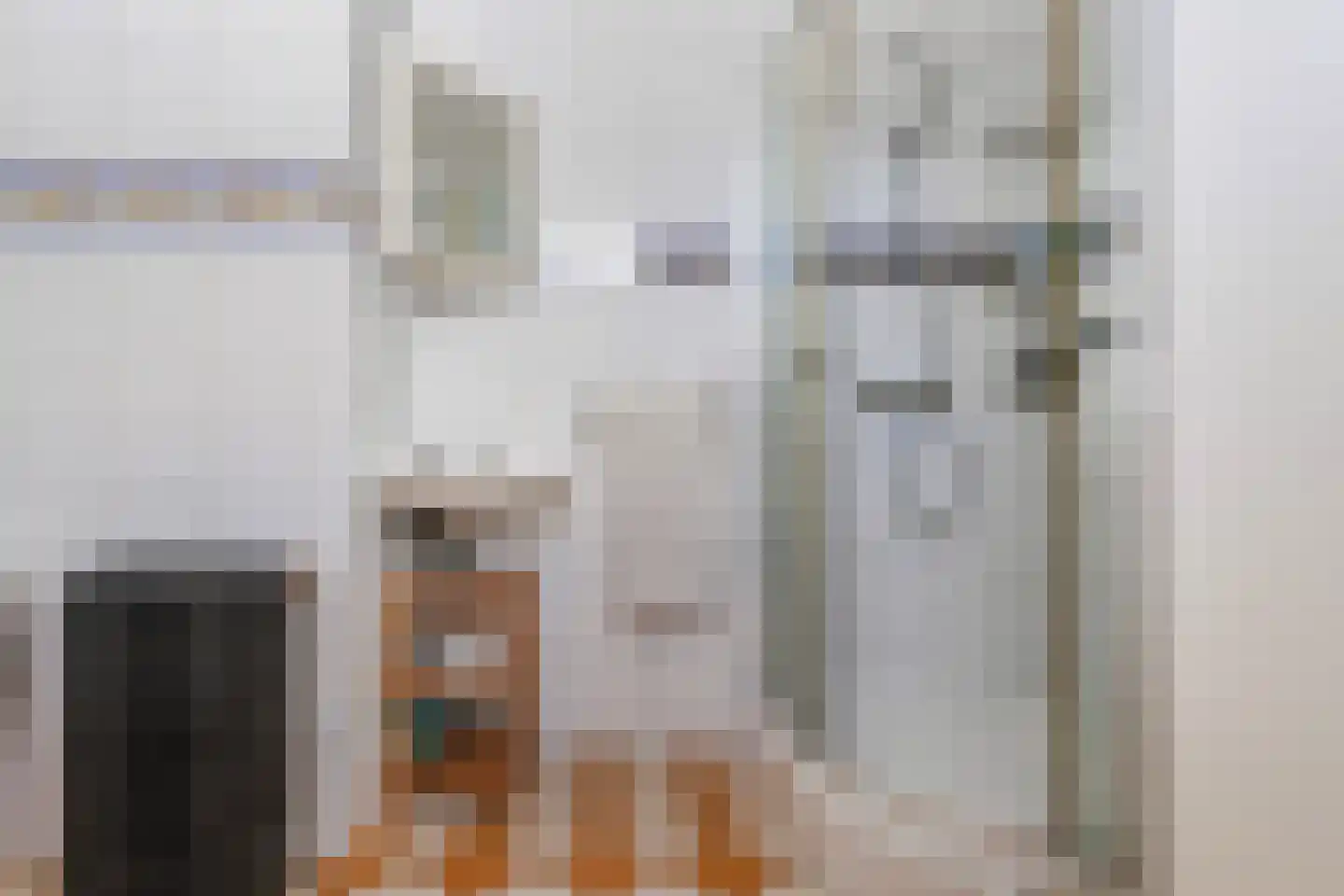 Nicolaas Pieckstraat 8 Tilburg thumbnail 19