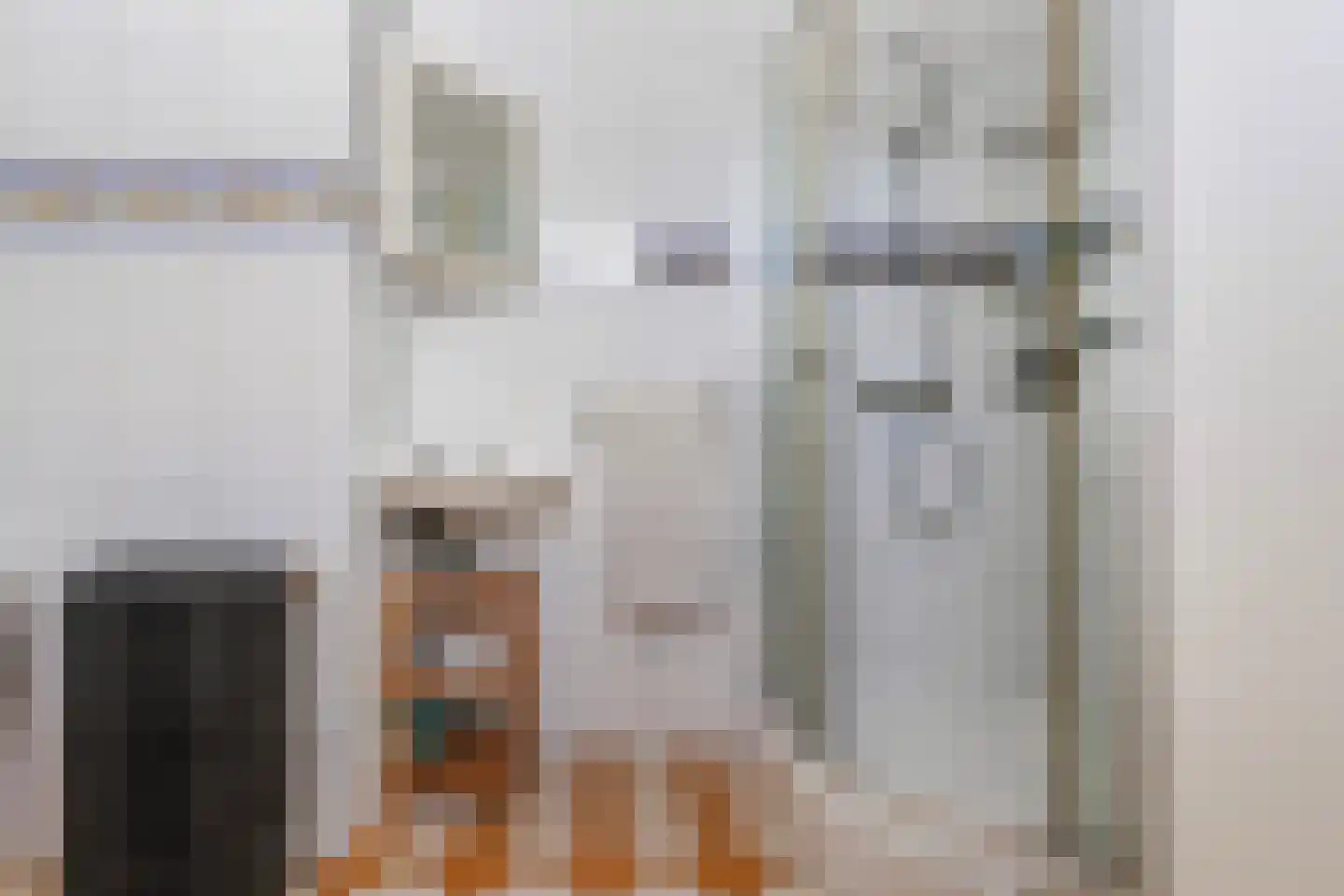 Nicolaas Pieckstraat 8 Tilburg thumbnail 19