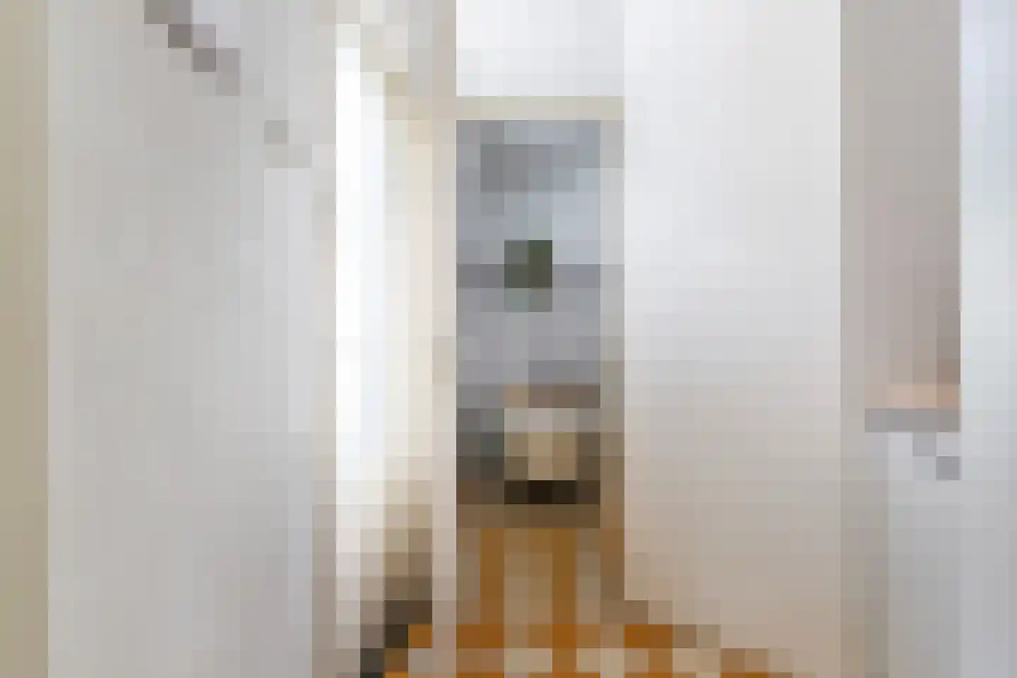 Nicolaas Pieckstraat 8 Tilburg thumbnail 23