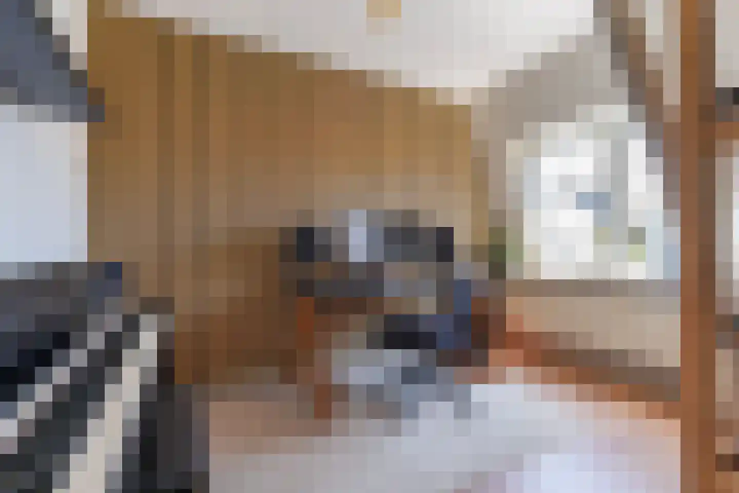 Nicolaas Pieckstraat 8 Tilburg thumbnail 32