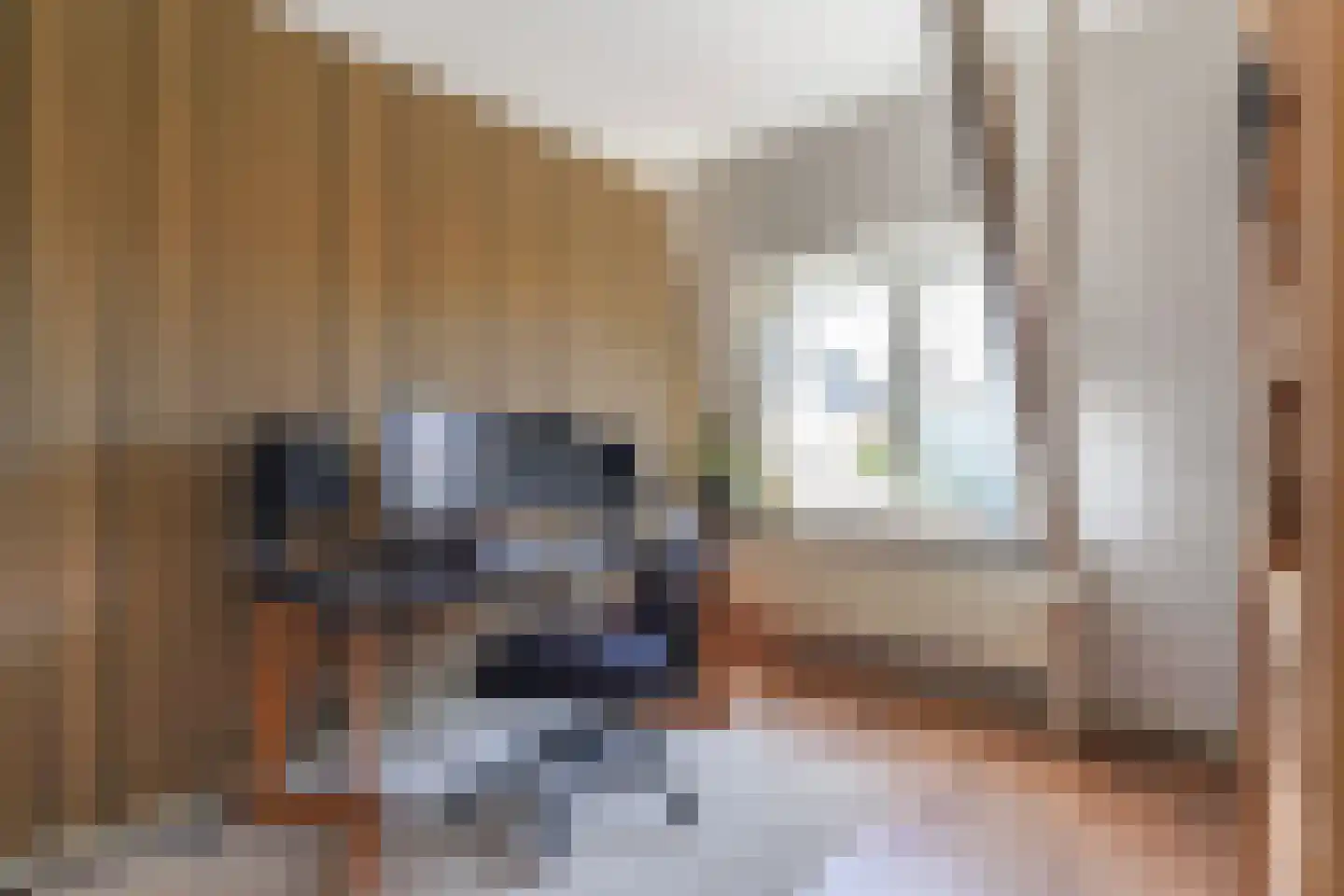 Nicolaas Pieckstraat 8 Tilburg thumbnail 33