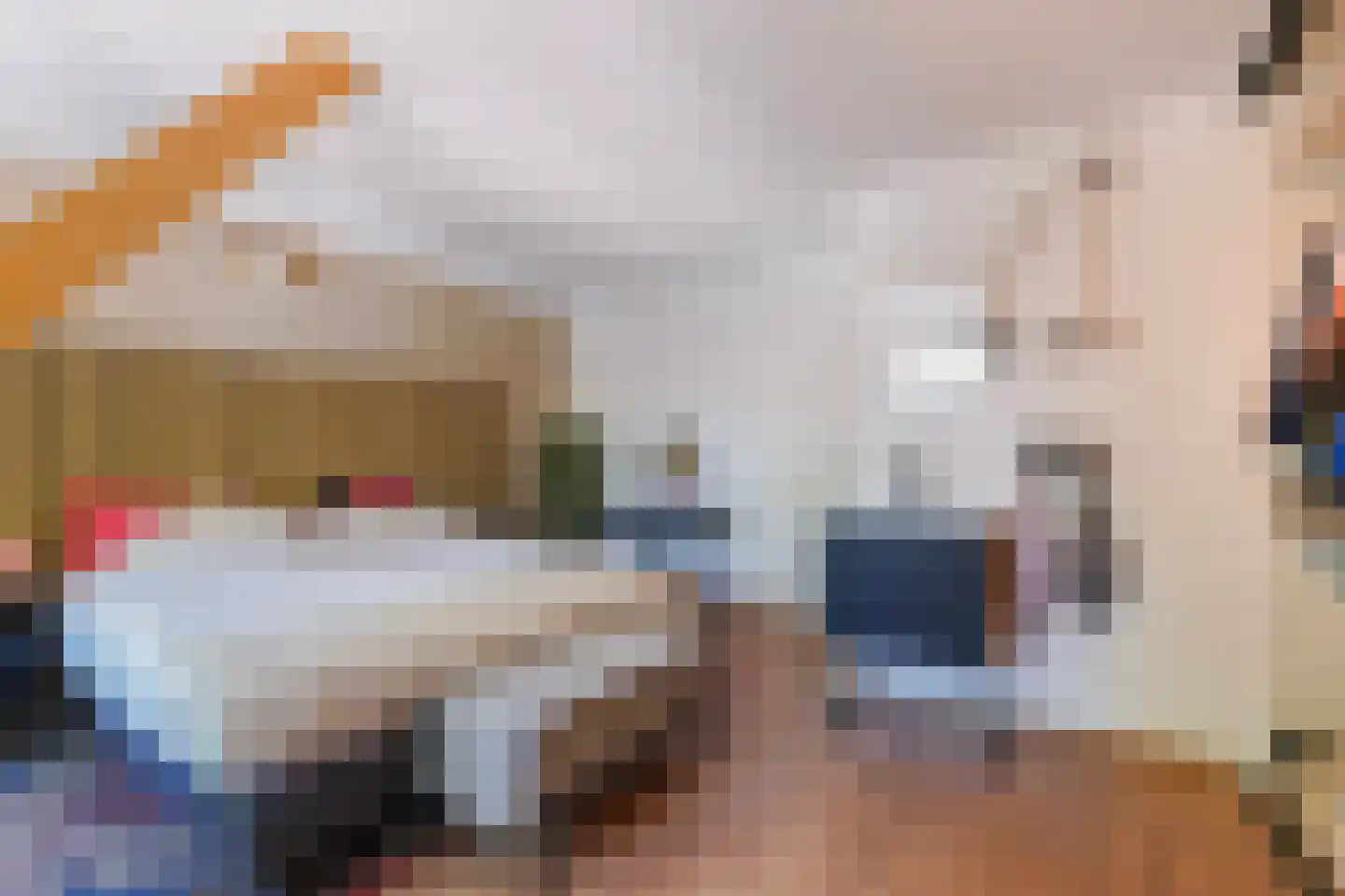 Nicolaas Pieckstraat 8 Tilburg thumbnail 4