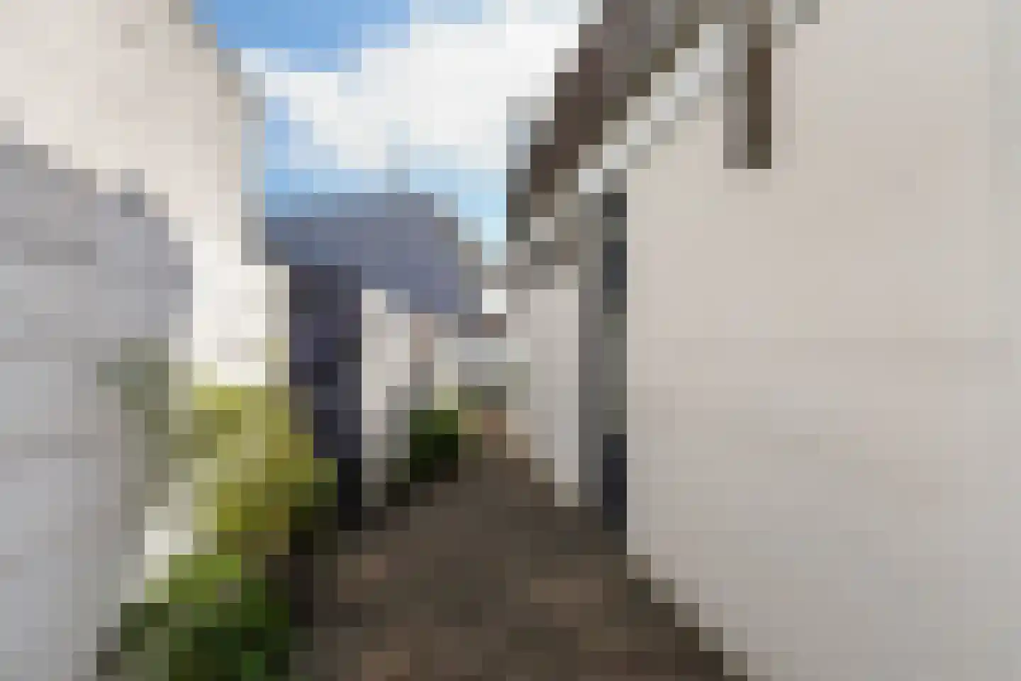 Nicolaas Pieckstraat 8 Tilburg thumbnail 41