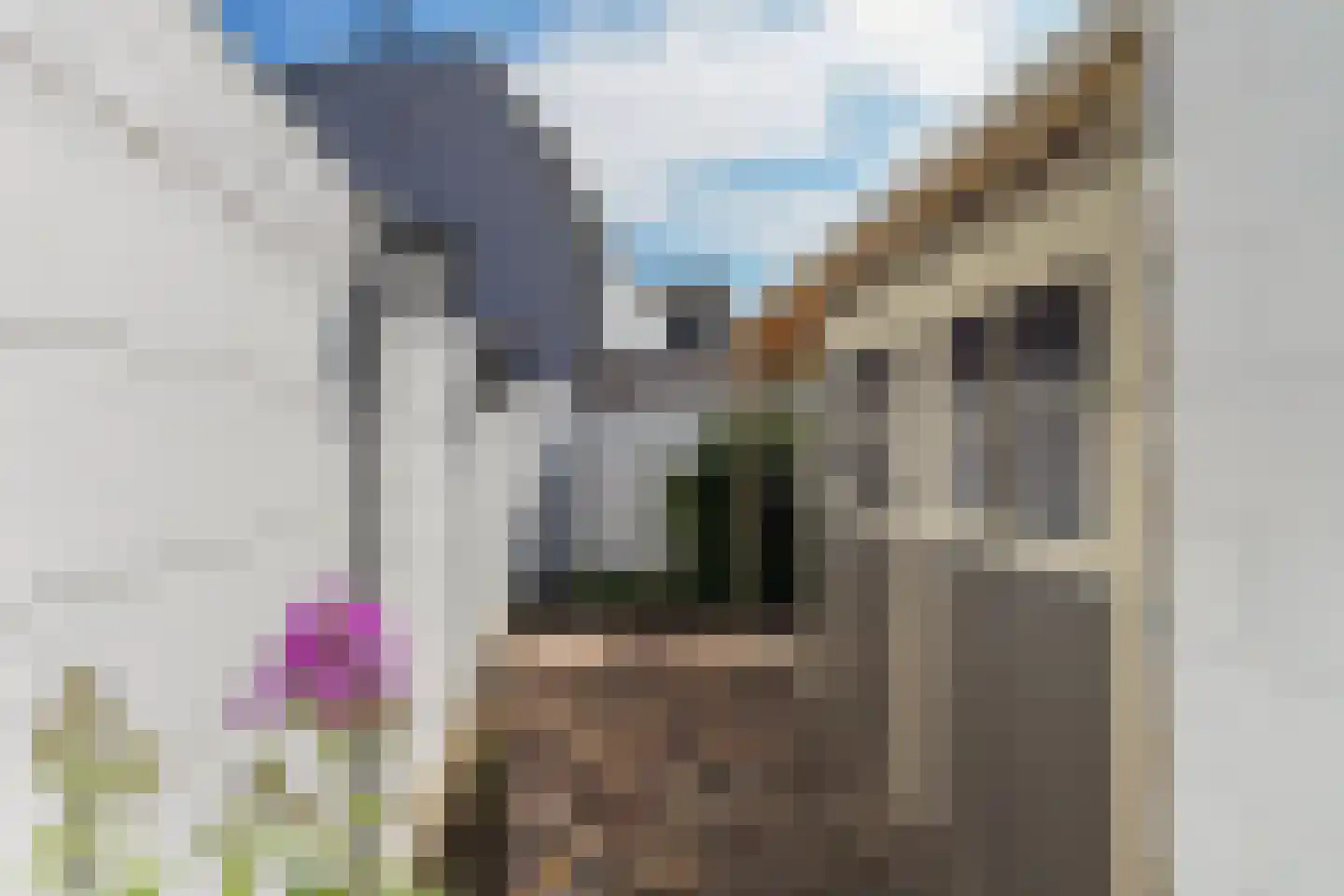 Nicolaas Pieckstraat 8 Tilburg thumbnail 43