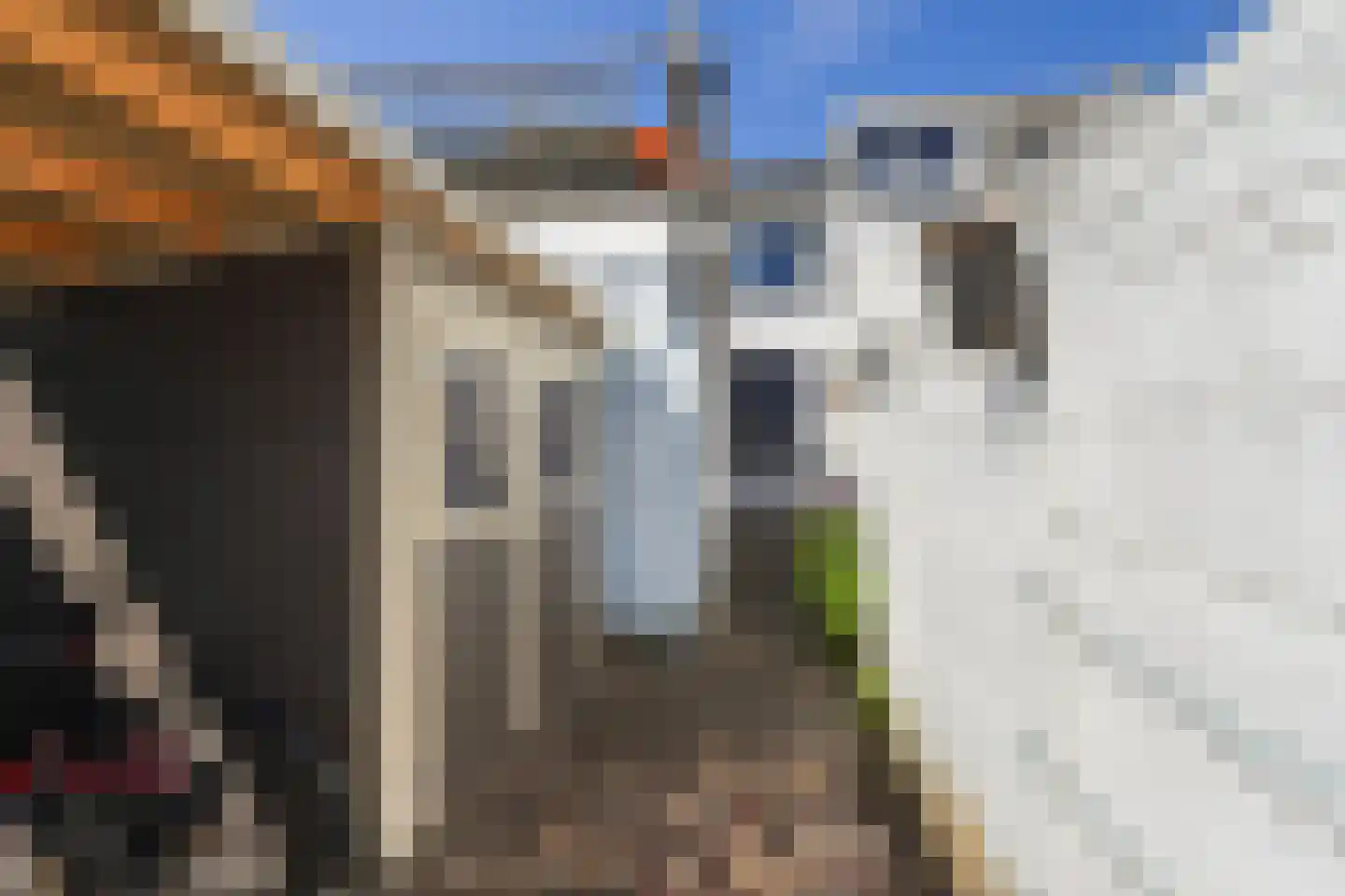 Nicolaas Pieckstraat 8 Tilburg thumbnail 44