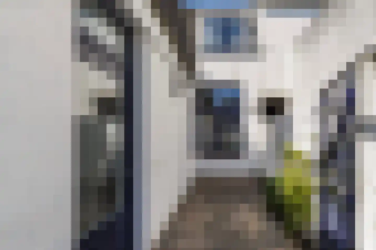 Nicolaas Pieckstraat 8 Tilburg thumbnail 46