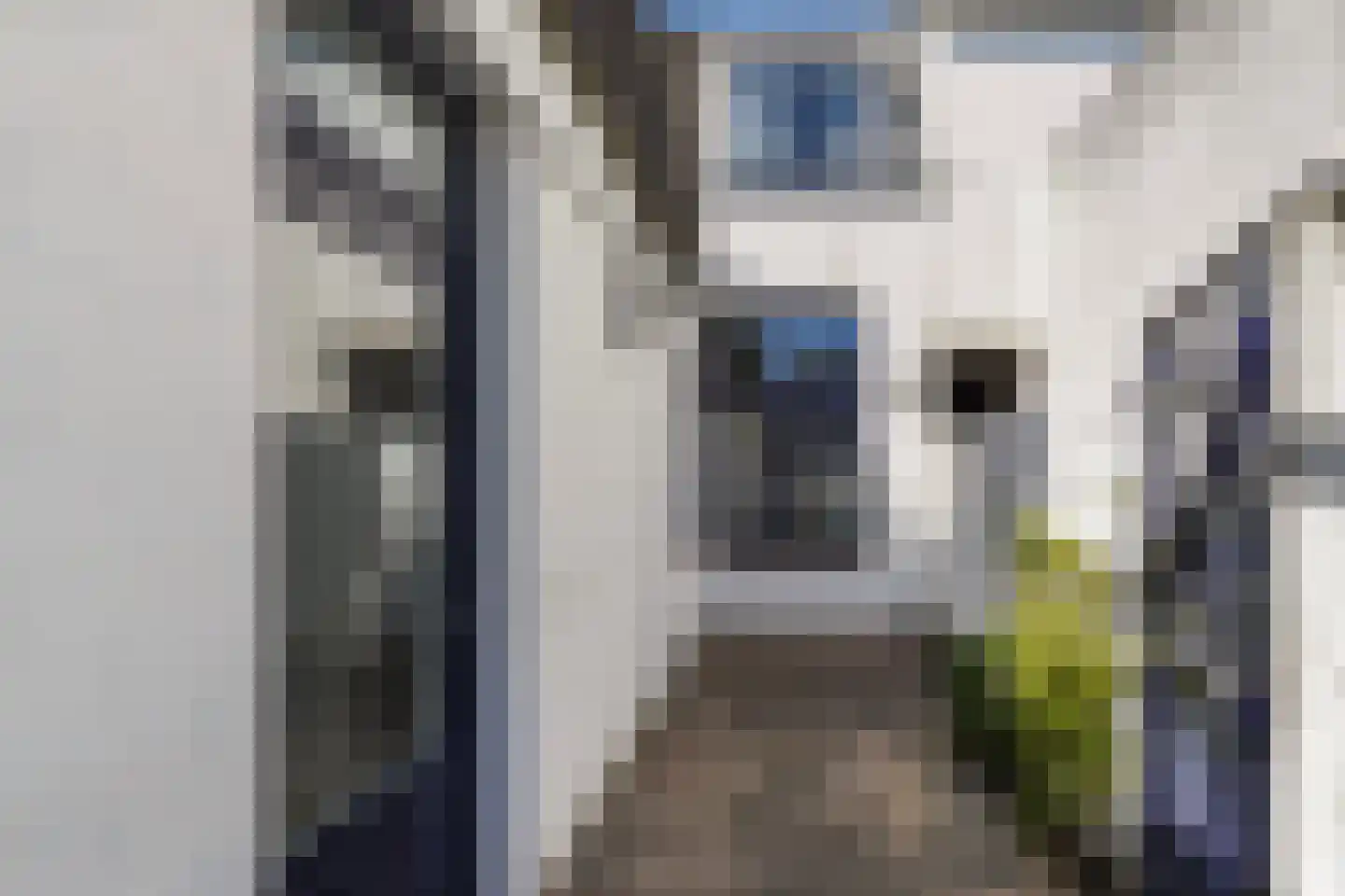 Nicolaas Pieckstraat 8 Tilburg thumbnail 47