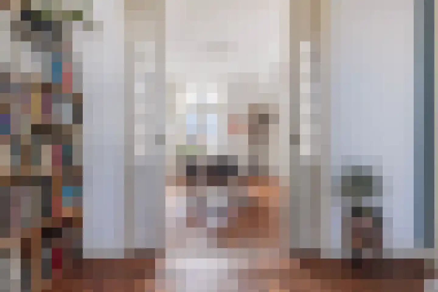 Nicolaas Pieckstraat 8 Tilburg thumbnail 7