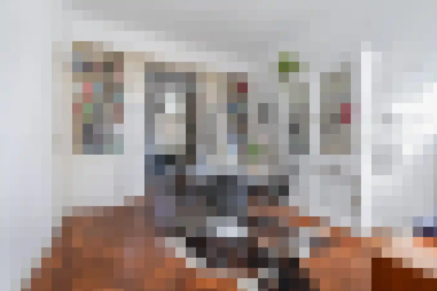 Nicolaas Pieckstraat 8 Tilburg thumbnail 9