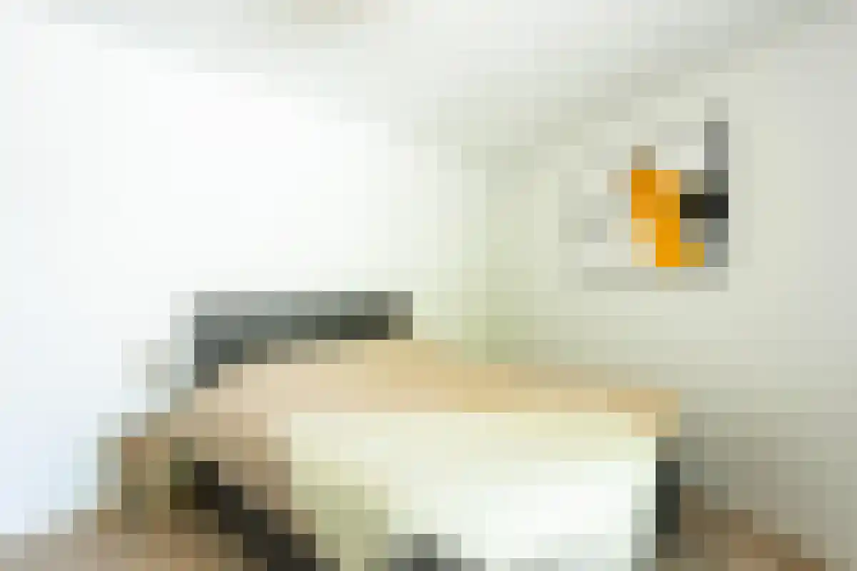 Nicolaas Pieckstraat Tilburg thumbnail 4