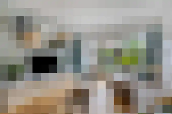 Nicolaas Ruychaverstraat 76 Utrecht thumbnail 10