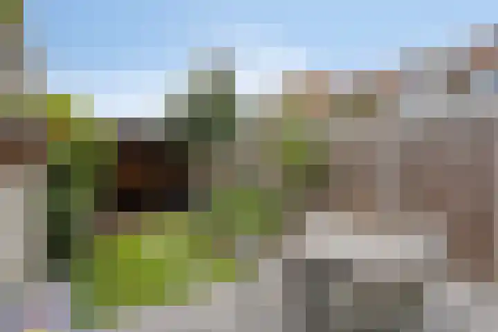 Nicolaas Ruychaverstraat 76 Utrecht thumbnail 12