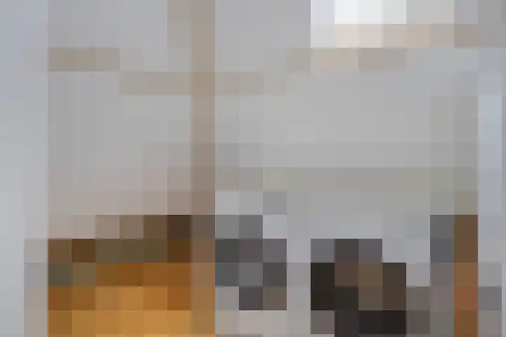 Nicolaas Ruychaverstraat 76 Utrecht thumbnail 28